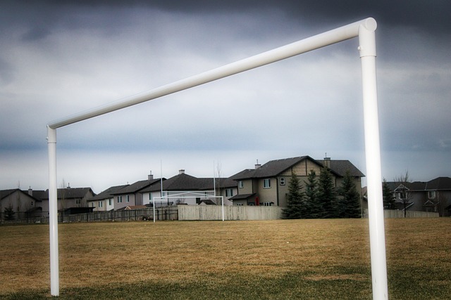 需要穆阿尼 需要穆阿尼