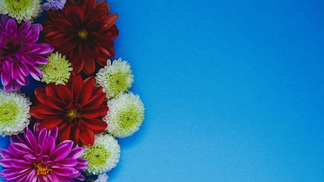 这位意大利 这位意大利