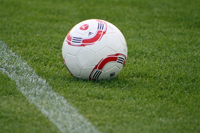 其背后不仅 其背后不仅