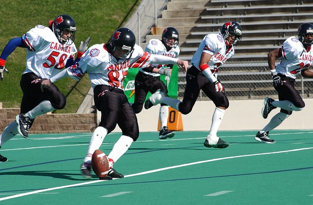 选择留在西 选择留在西