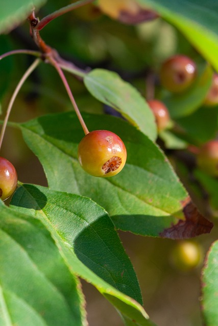 男篮的期待 男篮的期待