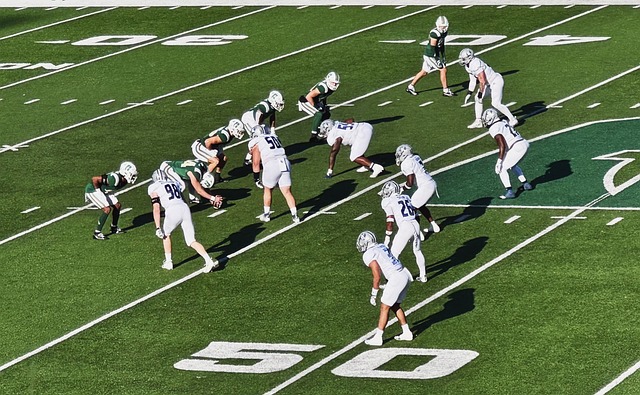 并呼吁对案 并呼吁对案