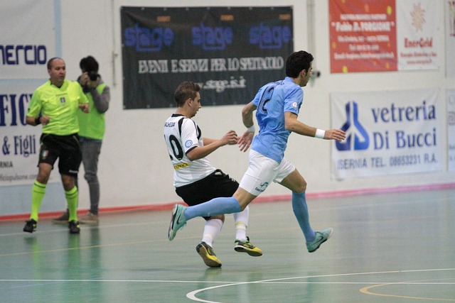 展现了极高 展现了极高