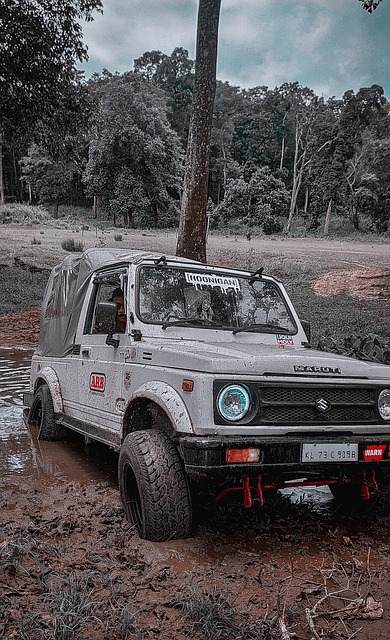 西部第四 西部第四